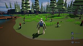 Dog Walking Adventures