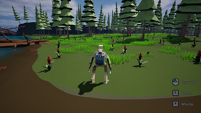 Dog Walking Adventures