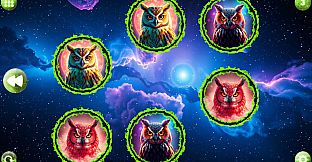 Space Memory: Owls