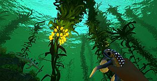 Subnautica - Nintendo Switch 2 Edition Upgrade Pack