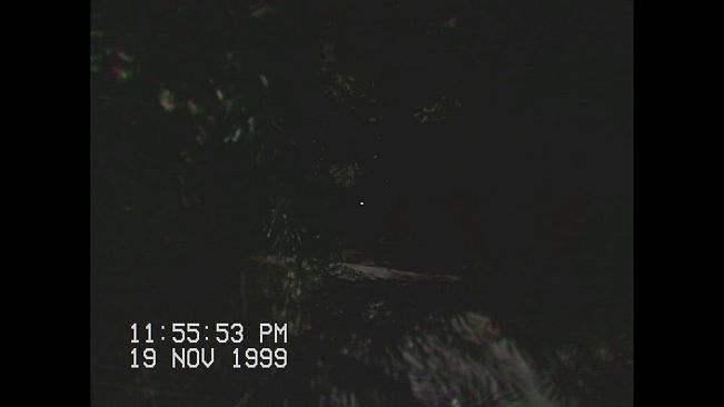 Stay with Me! Alien Abduction Story