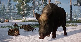 Planet Zoo: Eurasia Animal Pack