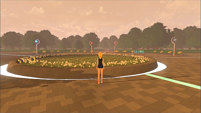 InTheDisorderlyCourtyard