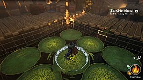 Bask: The Alchemist Frog