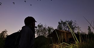 Forest Doesn’t Care