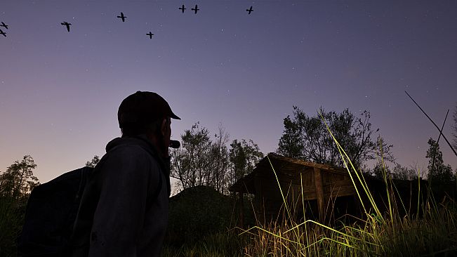 Forest Doesn’t Care