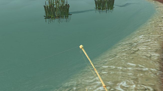 渔乐镇 Catch of the Day