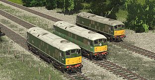 Trainz Plus DLC - BR Class 24 - Blue & Green