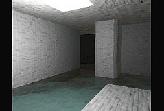 Within the Backrooms