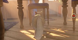 The Cat: Tales of Istanbul