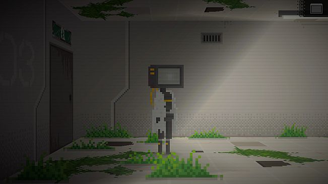 In a World After People