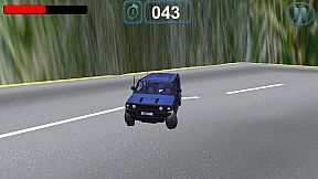 Mountain Taxi Driver