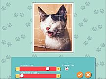 1001 Jigsaw. Cute Cats