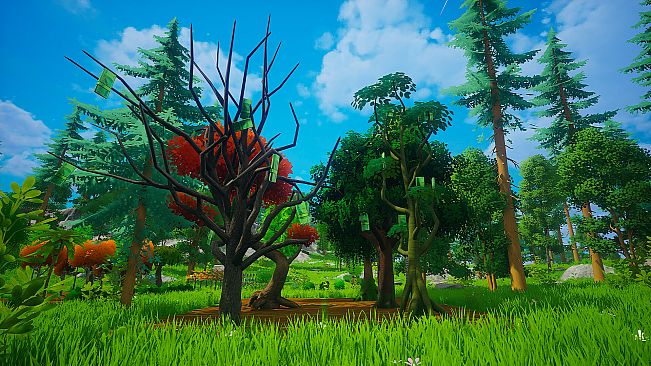 My Money Grows On Trees