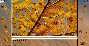 Super Jigsaw Puzzle: Generations - Autumn 2021