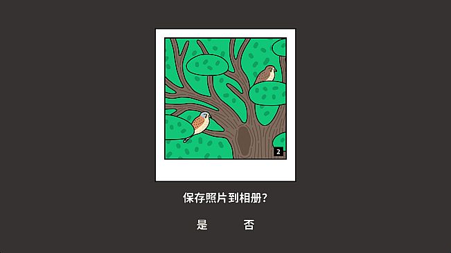 Bird Sense