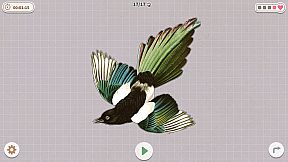 Birds Huddled Together