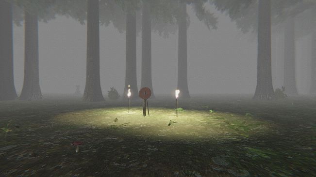 Trapped in the Forest