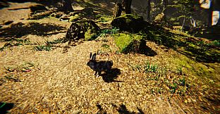 Animal