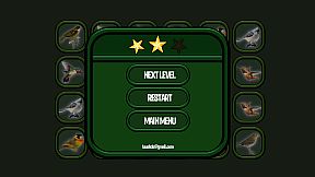 Animals Memory: Birds