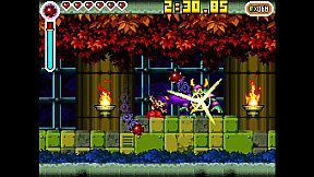 Shantae: Risky's Revenge - Director's Cut