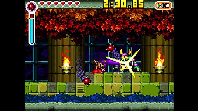 Shantae: Risky's Revenge - Director's Cut