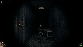 Horror in the Asylum