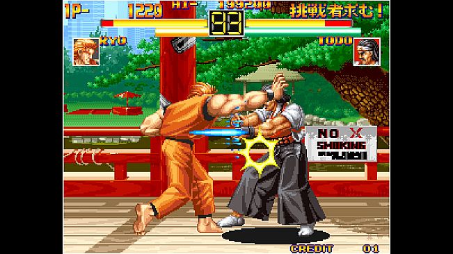 ACA NEOGEO ART OF FIGHTING