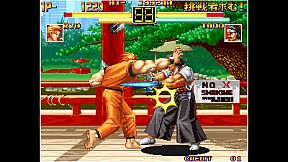 ACA NEOGEO ART OF FIGHTING