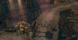 Tree of Savior - Veteran's Pack for EU Servers