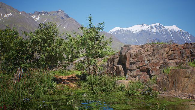 Stone Simulator – Just Be a Rock