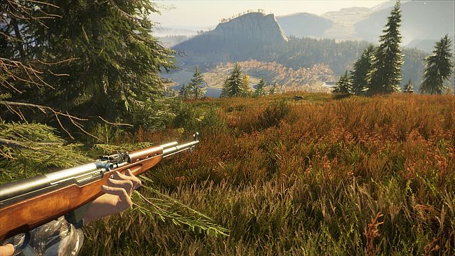 theHunter: Call of the Wild - Rapid Hunt Rifle Pack