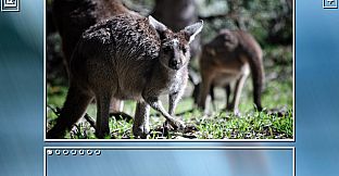 Super Jigsaw Puzzle: Generations - Australia Puzzles