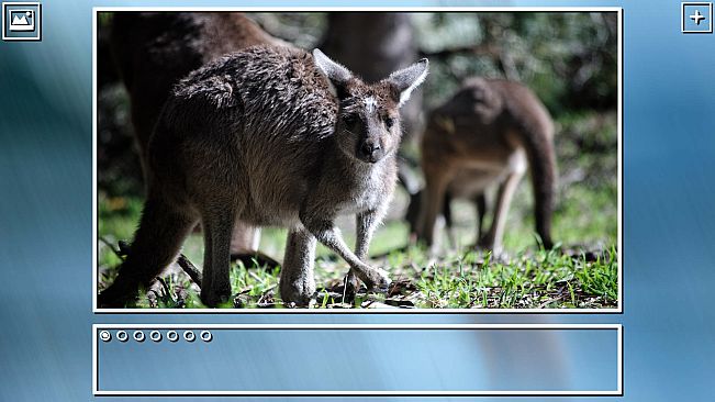 Super Jigsaw Puzzle: Generations - Australia Puzzles