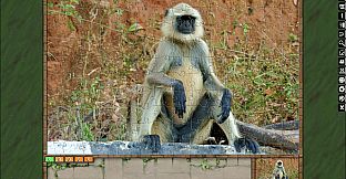 Jigsaw Puzzle Pack - Pixel Puzzles Ultimate: Primates