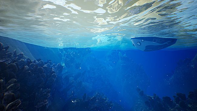 The Deep