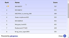 NH Bid at MSCYPAA: The Game