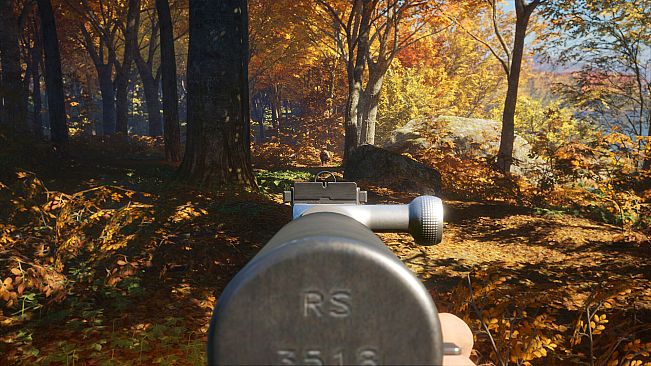 theHunter: Call of the Wild - Rapid Hunt Rifle Pack
