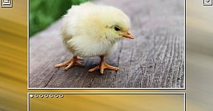 Super Jigsaw Puzzle: Generations - Birds Puzzles