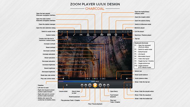 Zoom Player : Steam Edition