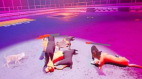 Claw Clash: Cat vs Dog Betting