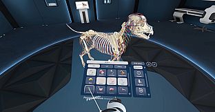 Animal Anatomy VR