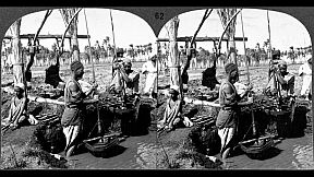 Stereograph Museum VR