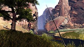 Professional Fishing