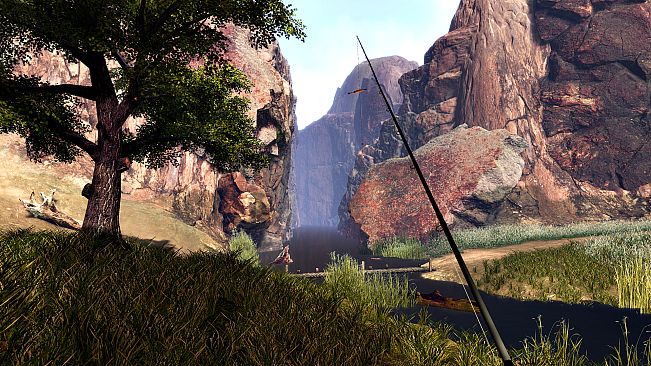 Professional Fishing