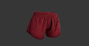 探灵笔记X嗜血印·联动角色小鲤-线绣牡丹心衣