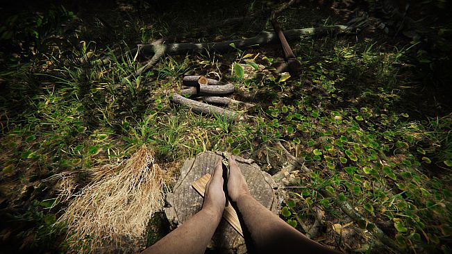 Primal Man Simulator