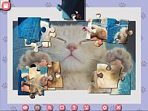 1001 Jigsaw. Cute Cats 4