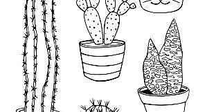 Plant Therapy Coloring Book