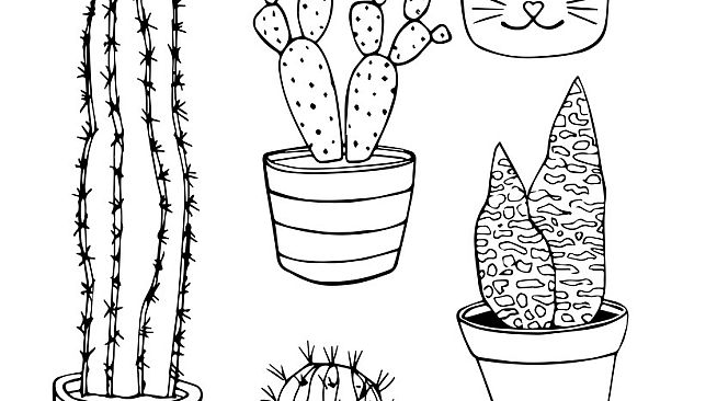 Plant Therapy Coloring Book